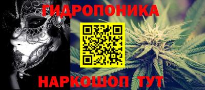 стаф Краснодар