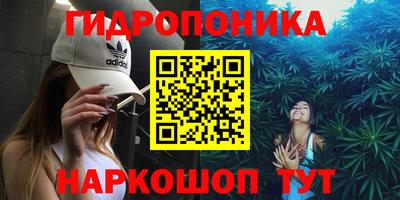 стаф Краснодар