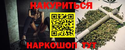 стаф Краснодар