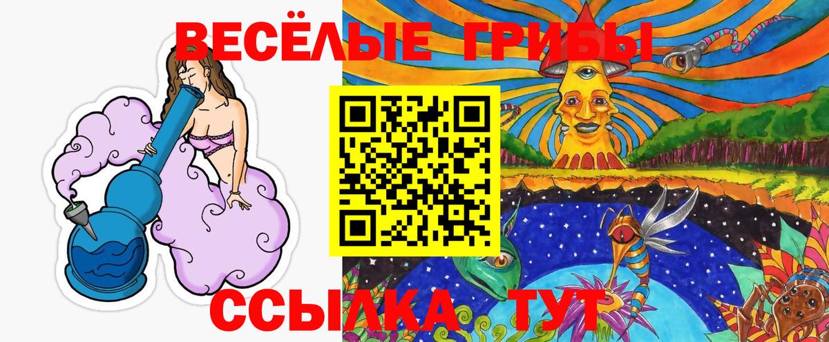 Галлюциногенные грибы Cubensis Йошкар-Ола