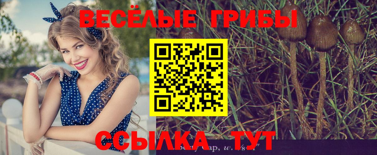где купить наркоту  Вход с VPN  Йошкар-Ола  Псилоцибиновые грибы ЛСД 